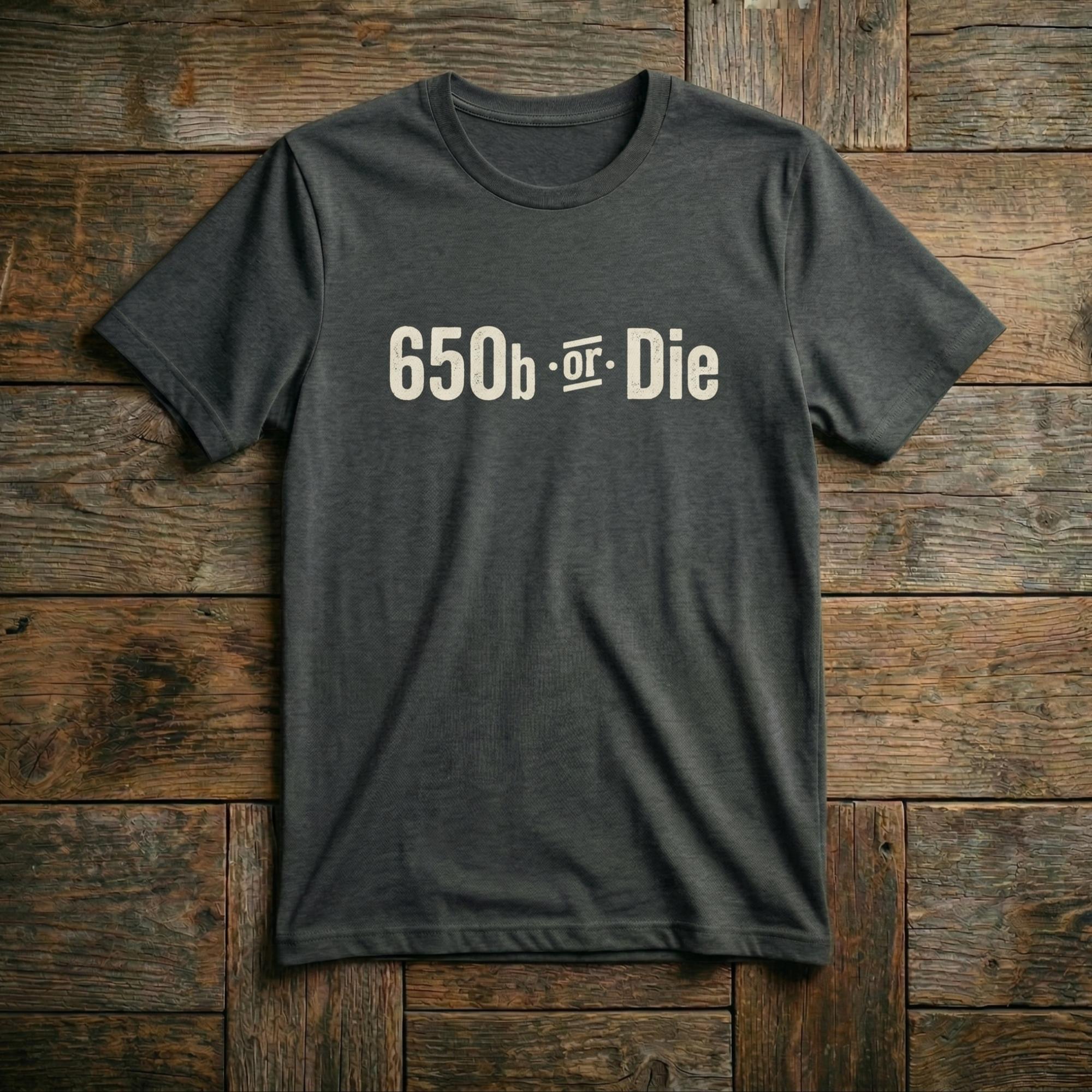 Gravel Mouth 650b or Die T-Shirt in Dark Heather — funny gravel cycling shirt for 650b riders, front view